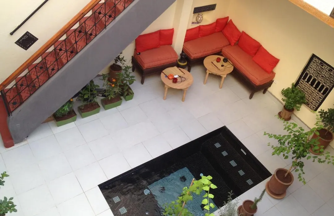Riad Jeremy-1