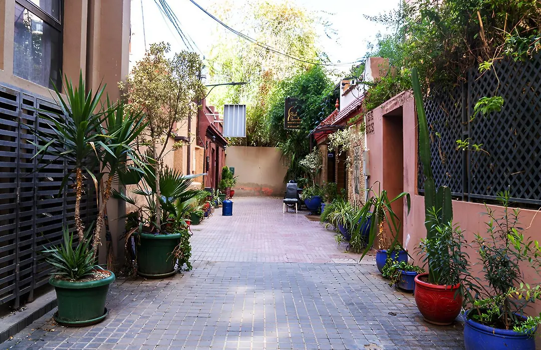 Riad Douirtna-1