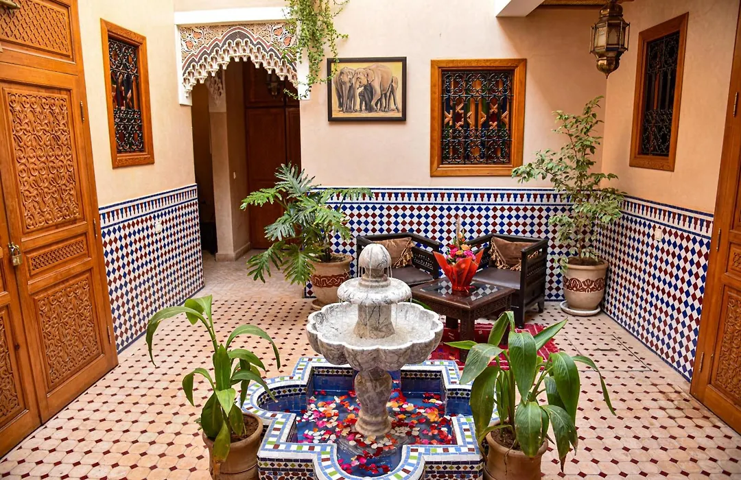 Riad Zanouba-1