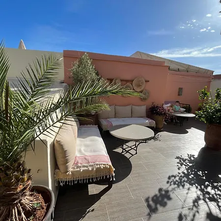 Riad Safina-2