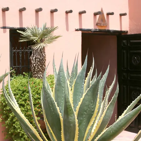 Riad Christina-3