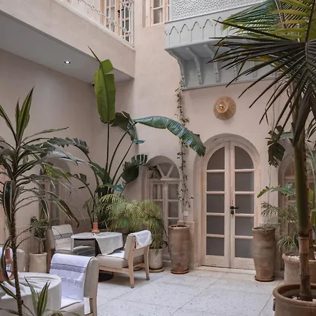 Riad K-White-2