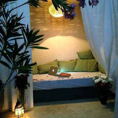 Riad Of The Light-3