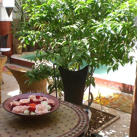 Ryad Dar Ganou-3