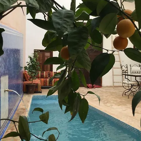 Riad Safia-2
