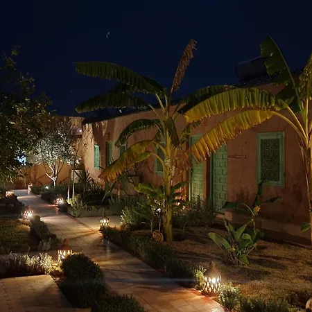 Riad les deux citronniers-2